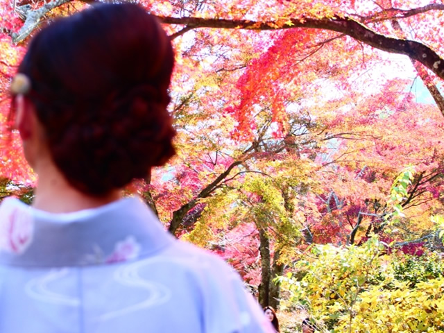日本の風景：紅葉