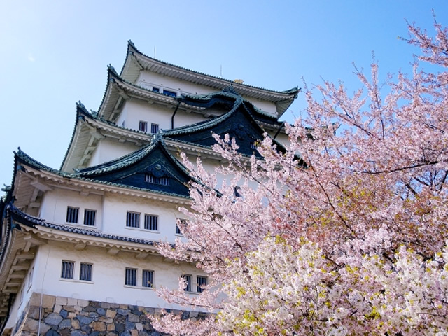日本の風景：桜と城（名古屋城）